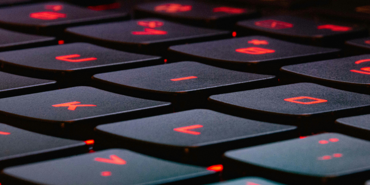 Strapi + Next.js Portfolio Rebuild